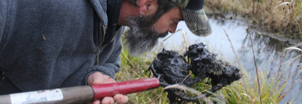 Craig Ritter checks the odor from a forkful of bog along Talmadge Creek.