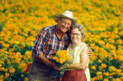 Darson and Tille Persyn ran a small vegetable and flower farm right off I-35 just south of San Antonio. I had to pass by there on my way back from Mexico and I always stopped. If my timing was any good I got dinner.